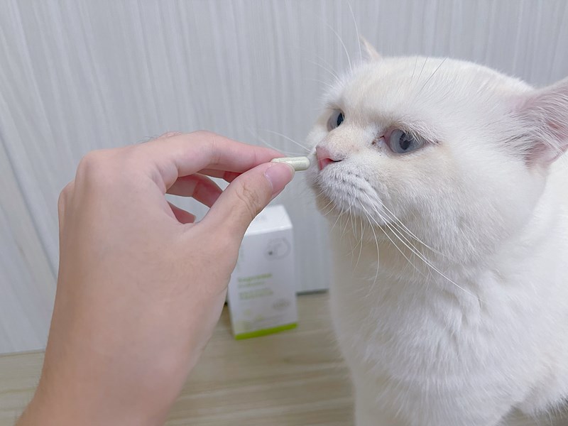 試用